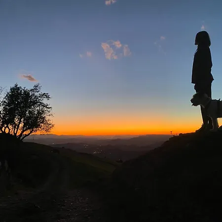 La Casina De La Fragua *